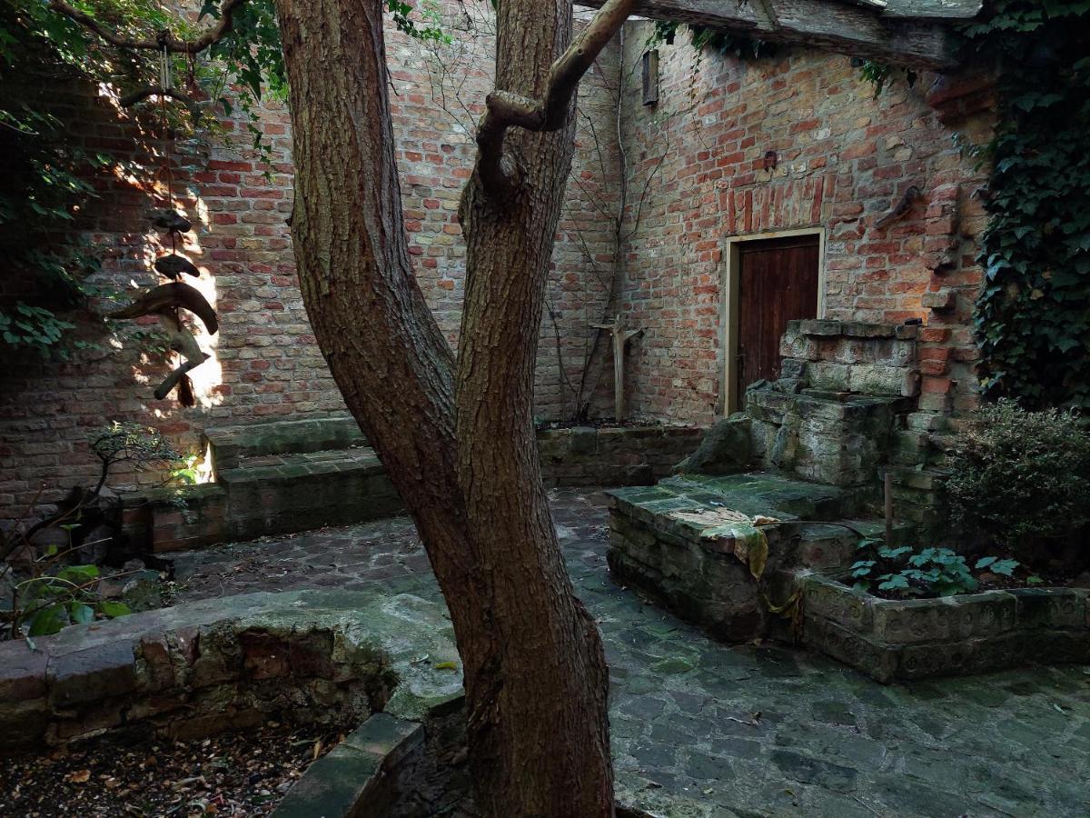 Hidden Garden - Spacious Modern - 1 Min To City Shuttle * Wenen