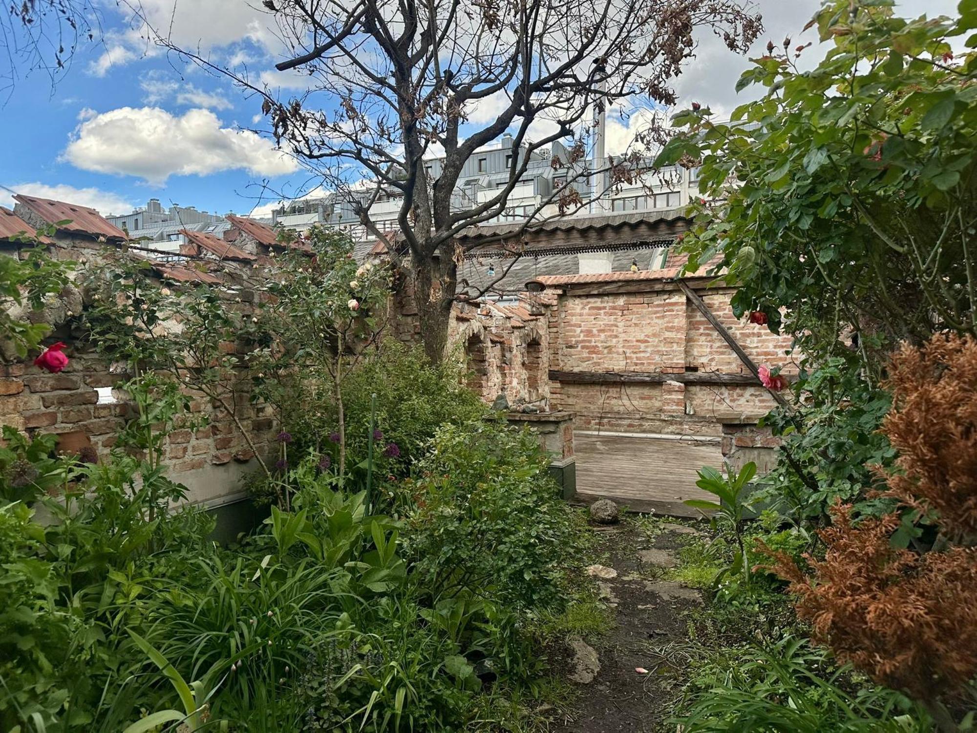 Hidden Garden - Spacious Modern - 1 Min To City Shuttle Appartement *