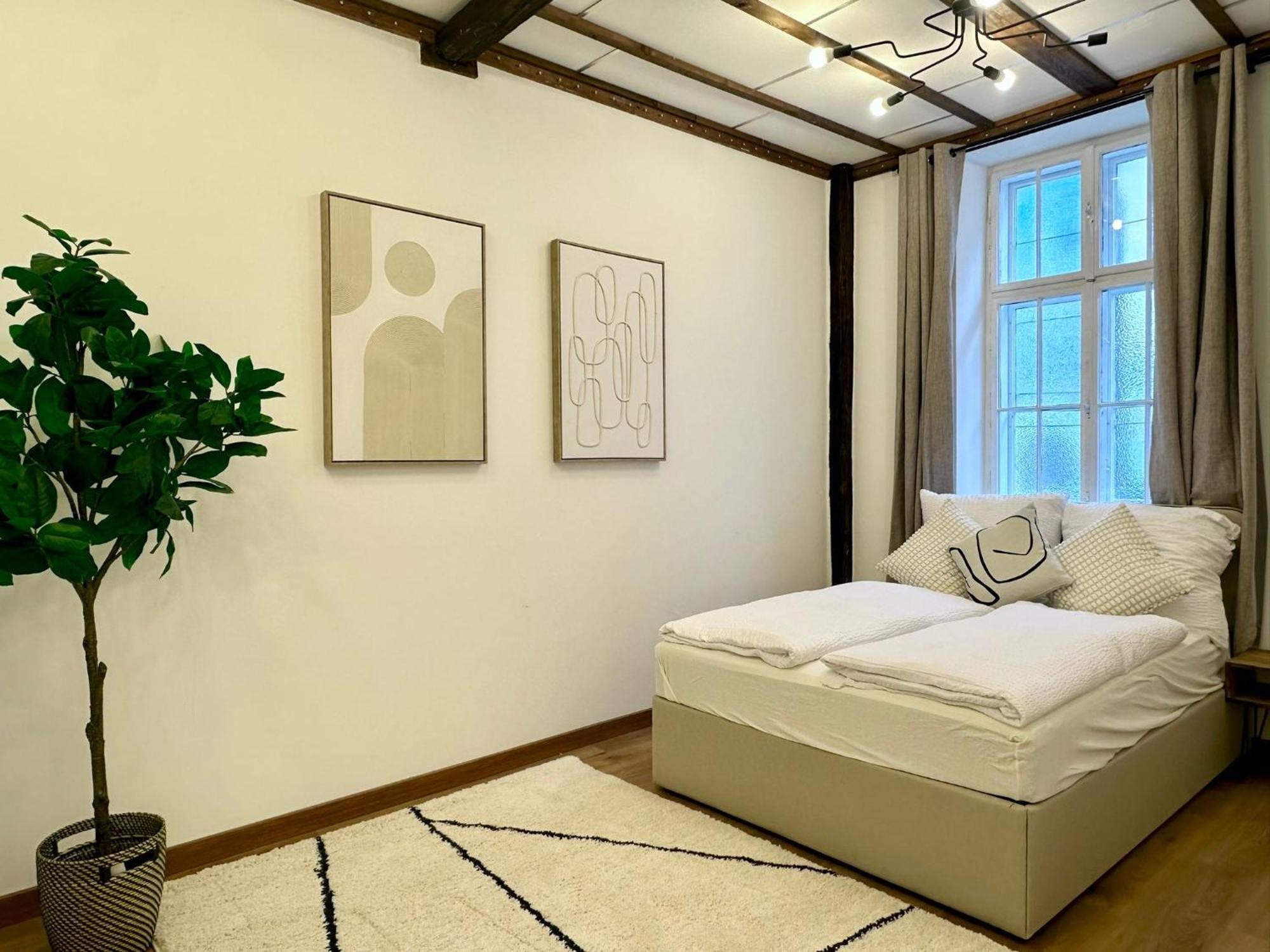 Hidden Garden - Spacious Modern - 1 Min To City Shuttle Wien